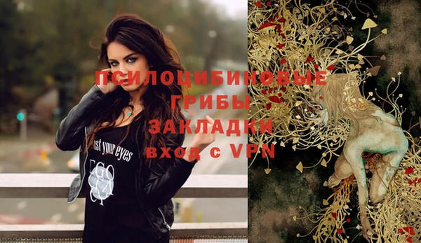 дмт Балахна