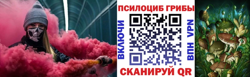 Галлюциногенные грибы Psilocybe  Купить закладки  Очёр 